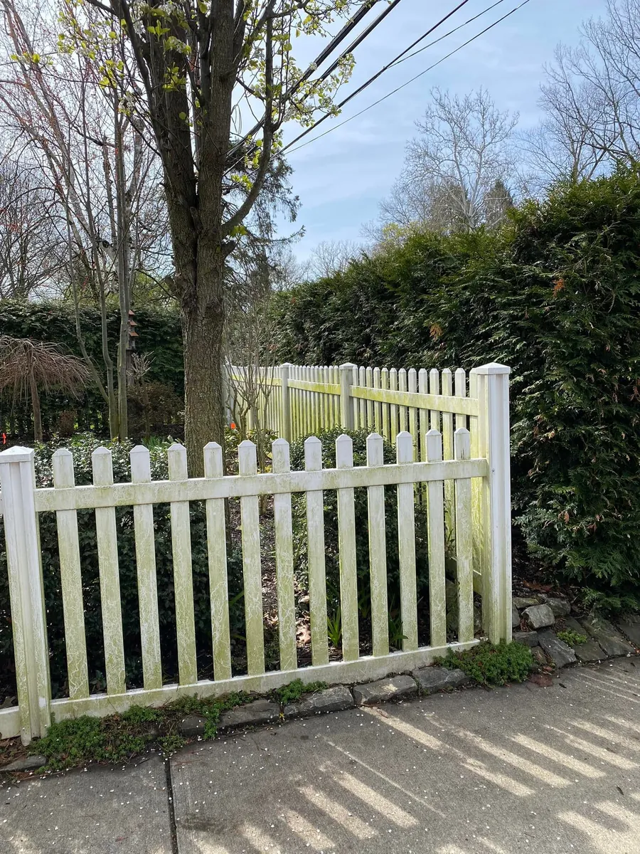 White vinyl picket fence before soft washing, covered in green algae staining